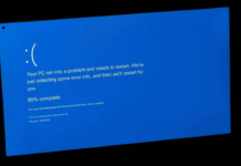 Windows 11 24H2 Update Causing BSODs For Some Western Digital SSD Owners