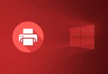 Windows 11 24H2 Update Halted Over USB Scanner, Printer Issues