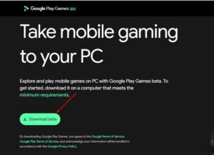 Can't Open Google Play Games Beta on PC? 5 Fixes