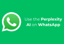 Use the Perplexity AI on WhatsApp
