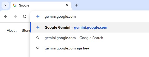 Gemini.google.com