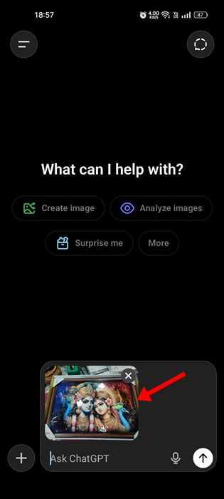 miniatura dell'immagine